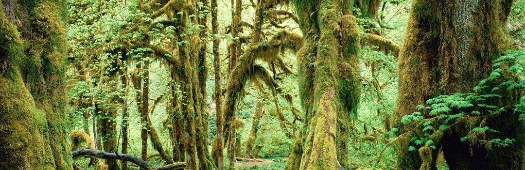 Bannière de ce canal