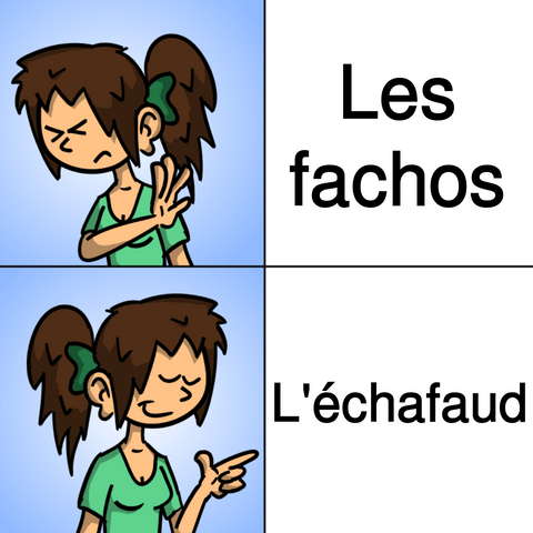 Mème : en haut, Sophie n'aime pas « Les fachos » ; en bas, Sophie aime « L'échafaud ».