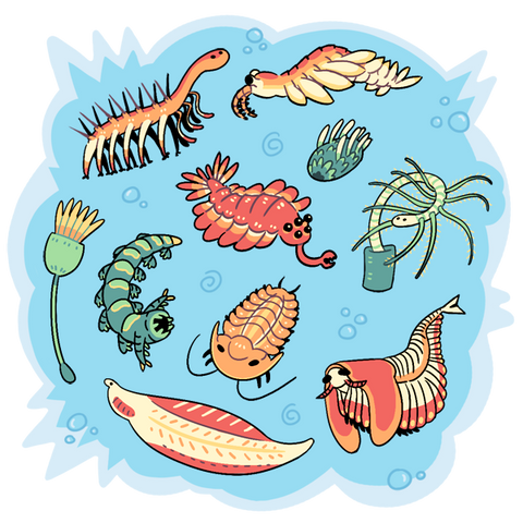 A digital illustration of 10 different animals from the cambrian period in a cutesy artstyle. The depicted animals are: Hallucigenia, anomalocaris, wiwaxia, facivermis, opabinia, aysheaia, dinomischus, phacops, haikouichthys and balhuticaris.