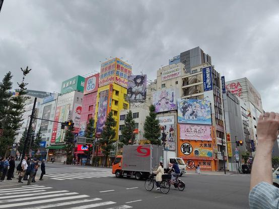 Photo de Akihabara encore, avec d'autres immeubles recouverts de pubs et de couleurs dans tous les sens.