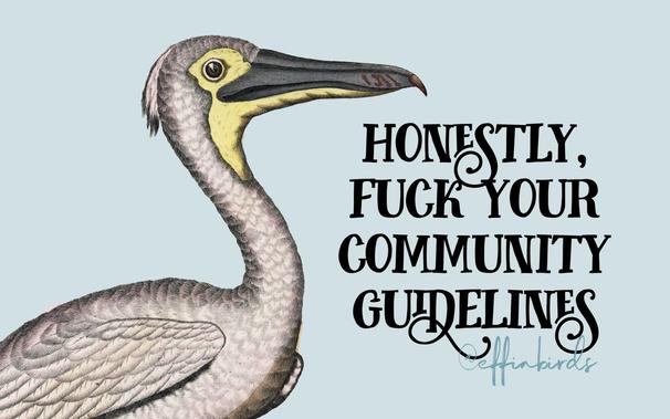 A painting of a bird beside the text "honestly, fuck your community guidelines"