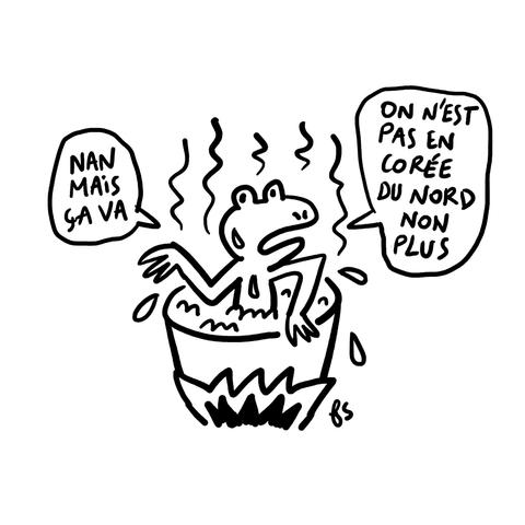 Dessin.
Un grenouille dans une casserole d'eau bouillante dit : "Nan mais ça va. On n'est pas en Corée du Nord non plus."