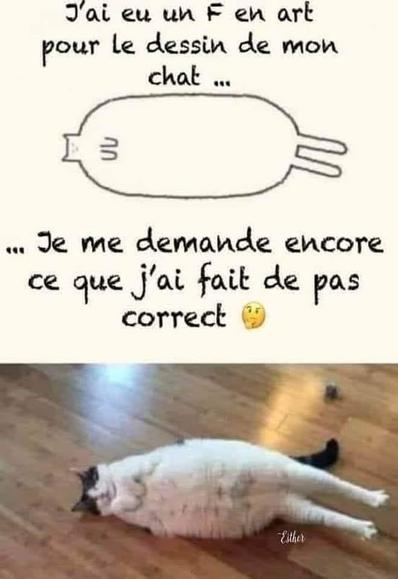Mème en deux parties : en haut, un dessin très rudimentaire d’un chat, représenté comme une forme ovale allongée avec quatre petites pattes, accompagné du texte : « J’ai eu un F en art pour le dessin de mon chat… Je me demande encore ce que j’ai fait de pas correct 🤔 ». En bas, une photo d’un gros chat blanc et noir, allongé sur le dos sur un parquet, le ventre bien rond, les pattes étirées et la queue noire relevée. Le dessin ressemble finalement assez bien au chat de la photo, ce qui rend la mauvaise note particulièrement injuste et amusante.