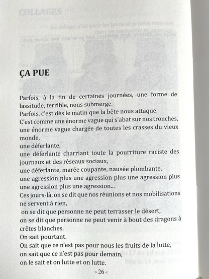 Ça pue
Parfois, à la fin de certaines journées, une forme de lassitude, terrible, nous submerge.
Parfois, c'est dès le matin que la bête nous attaque.
C'est comme une énorme vague qui s'abat sur nos tronches, une énorme vague chargée de toutes les crasses du vieux monde,
une déferlante,
une déferlante charriant toute la pourriture raciste des journaux et des réseaux sociaux,
une déferlante, marée coupante, nausée plombante,
une agression plus une agression plus une agression plus une agression plus une agression...
Ces jours-là, on se dit que nos réunions et nos mobilisations ne servent à rien,
on se dit que personne ne peut terrasser le désert,
on se dit que personne ne peut venir à bout des dragons à crêtes blanches.
On sait pourtant.
On sait que ce n'est pas pour nous les fruits de la lutte, on sait que ce n'est pas pour demain,
on le sait et on lutte et on lutte.
