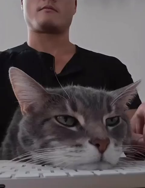 Video by tyleryasuda of him trying to type on a keyboard while his cat uses it as a pillow. The human moves his hands under the kitty's head to type away while the sleepy cat just closes it eyes and purrs.