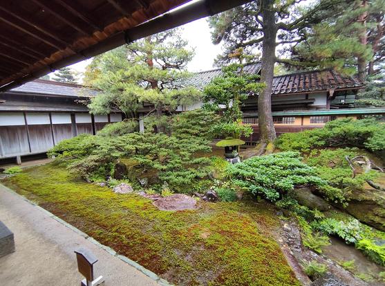 Vue d'un jardin japonais en cours intérieure d'un musée. Des arbres et de la mousse.