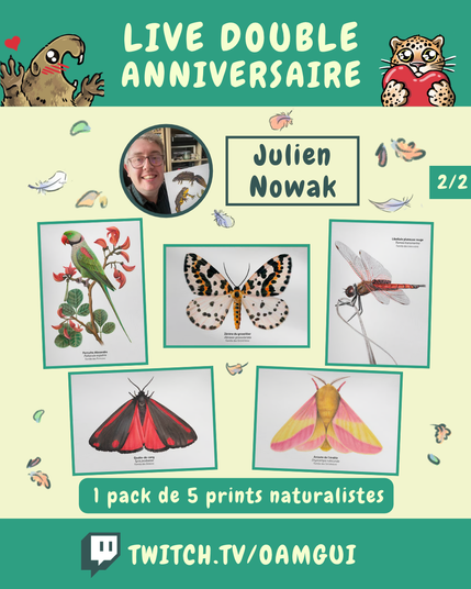 Visuel illustré présentant les lots proposés par Julien Nowak, à gagner à l’occasion du « Live double anniversaire ». 
Le fond jaune pâle est décoré de petites plumes et de feuilles d’automne.

En haut, sur fond vert, le texte en grandes lettres jaune pâle indique : « LIVE DOUBLE ANNIVERSAIRE ». À gauche, une marmotte dessinée lève les pattes avec un petit cœur rouge au-dessus d’elle. À droite, un félin tacheté tient un cœur rouge.

Sous le bandeau, un portrait circulaire représente le logo de Julien Nowak,. À droite, dans un encadré vert foncé, le nom « Julien Nowak, » est inscrit en grandes lettres. Sur le côté on voit un petit encadré qui indique 2/2.

La partie centrale présente 5 illustrations naturalistes encadrées de vert.
Une Perruche Alexandre, une Zérène du groseillier, une Libellule planeuse rouge, une Goutte-de-sang, une Anisote de l’érable.

Dessous, un encadré vert indique : « 1 pack de 5 prints naturalistes ».

En bas de l’image, sur une bande verte, le logo Twitch précède l’adresse « TWITCH.TV/OAMGUI » en grandes lettres jaune pâle.