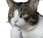 :uxam: