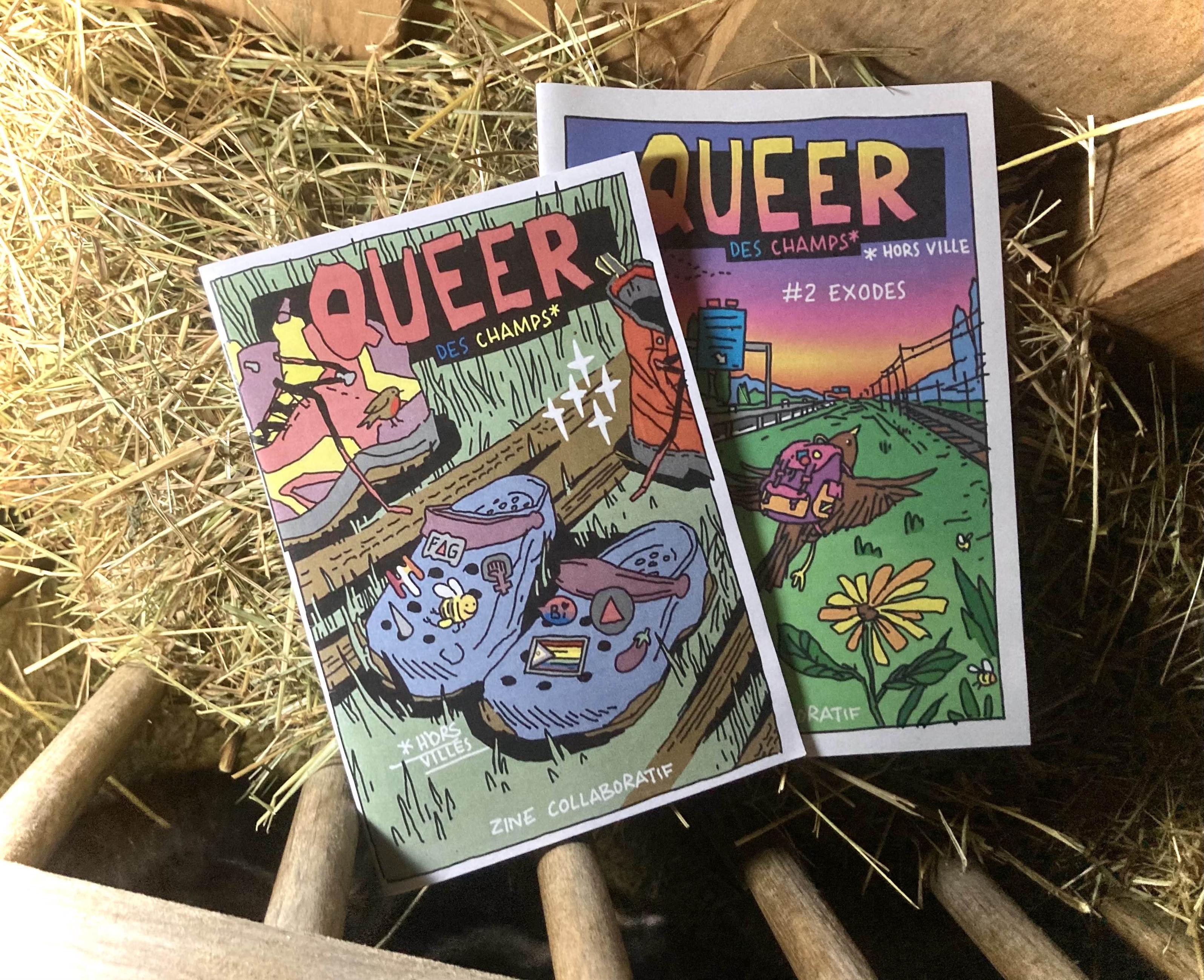 Les deux premiers zine dans une mangeoire pleine de foin, ce sont de format A5 avec des couvertures illustrées très colorées