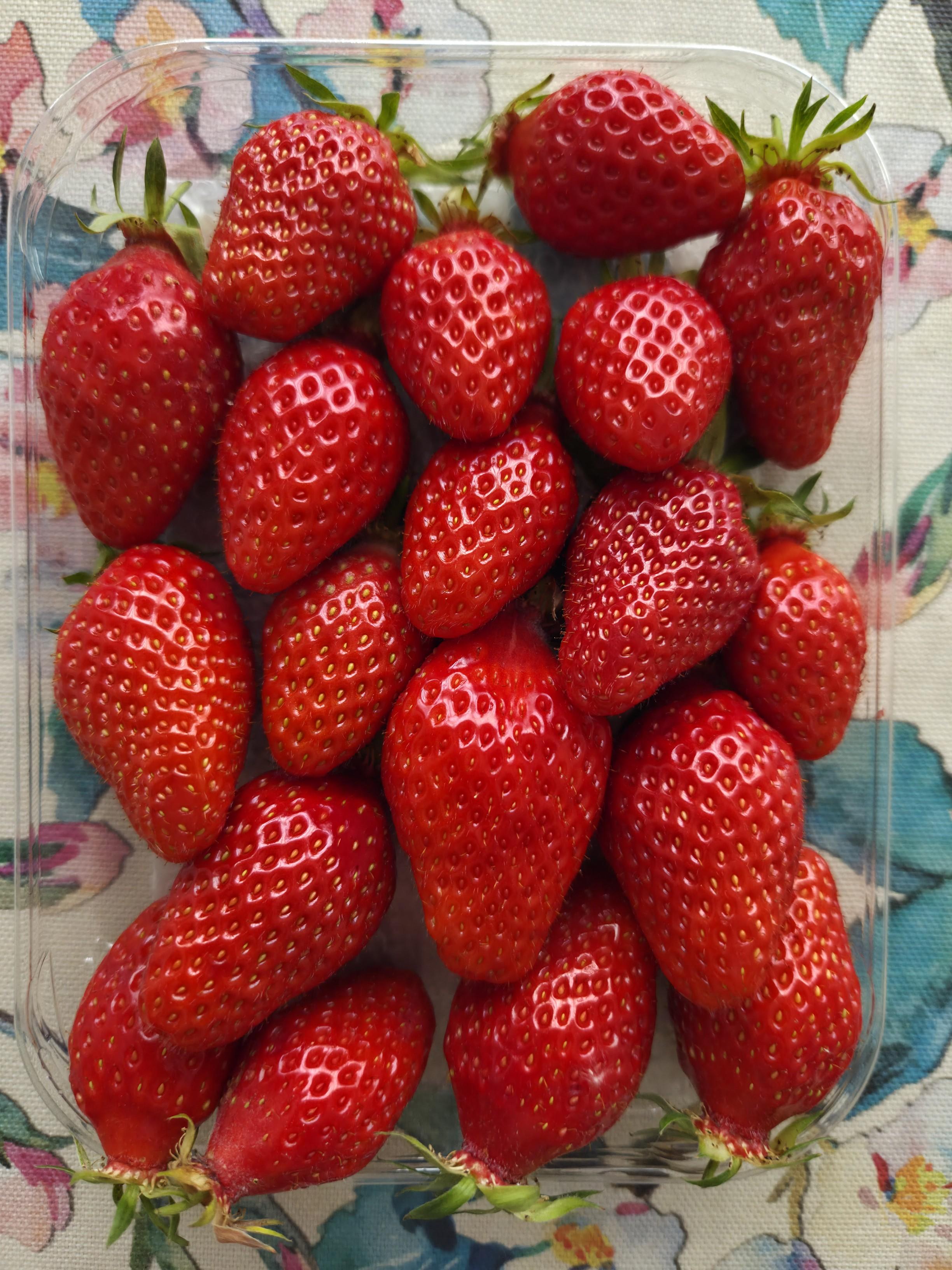 Barquette de fraises prises du dessus