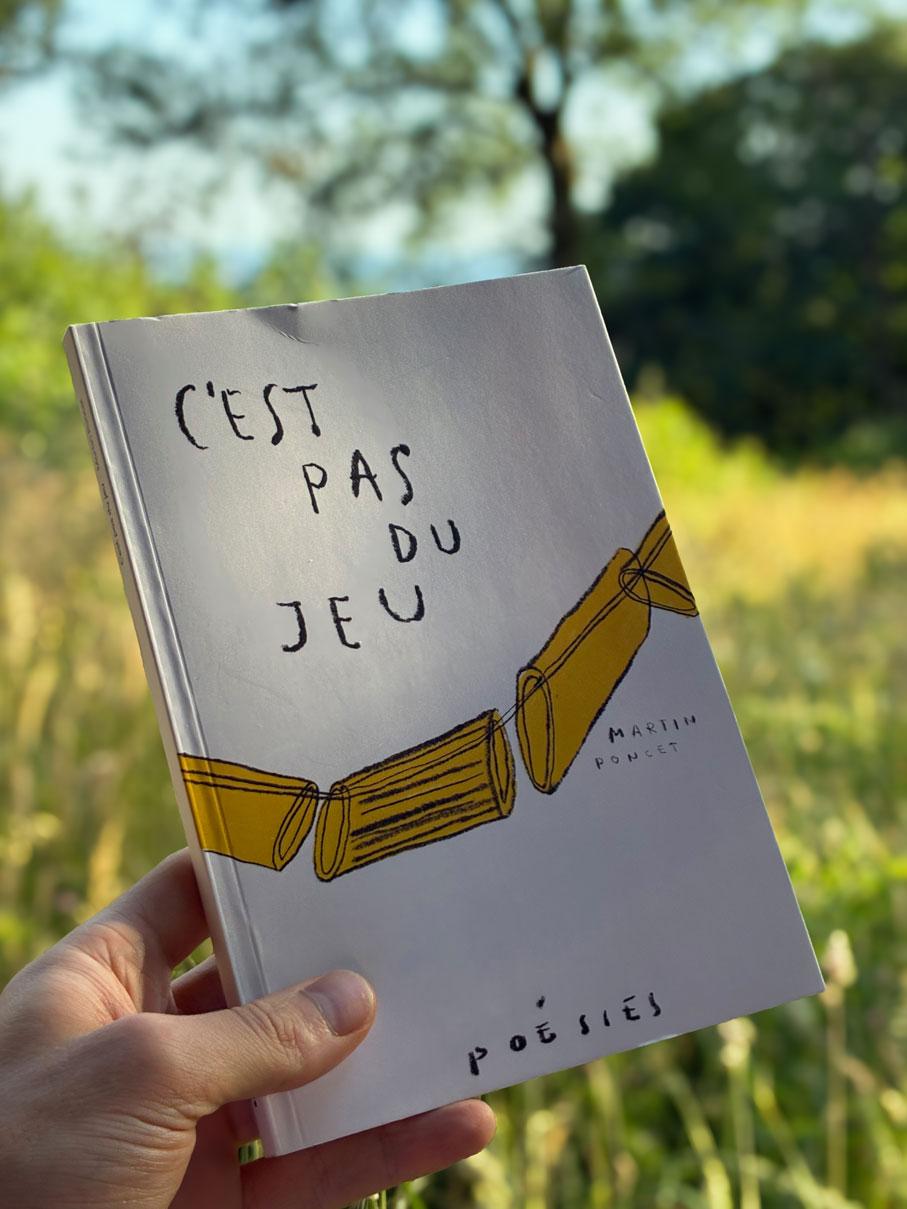 Photo du livre tenu dans ma main devant un paysage de campagne herbeuse et ensoleillée.